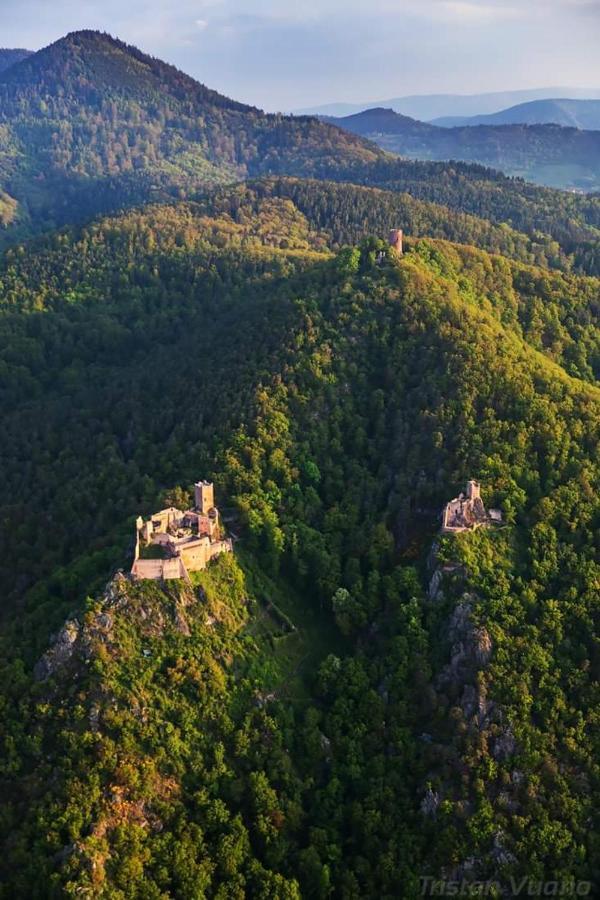 Gite See You Soon - Maisonnette Green Lodge Рибовілле Екстер'єр фото